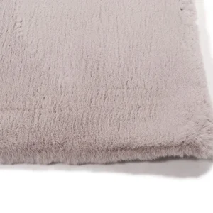 Karpet Galaxy