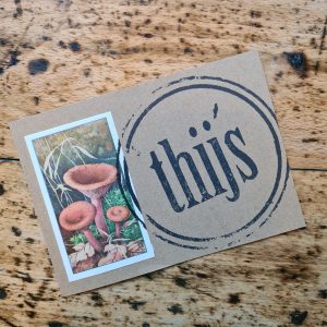 Postkaartje